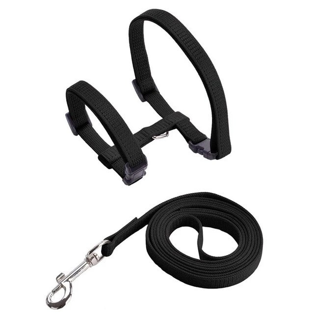 COLLAR HARNESS LEASH